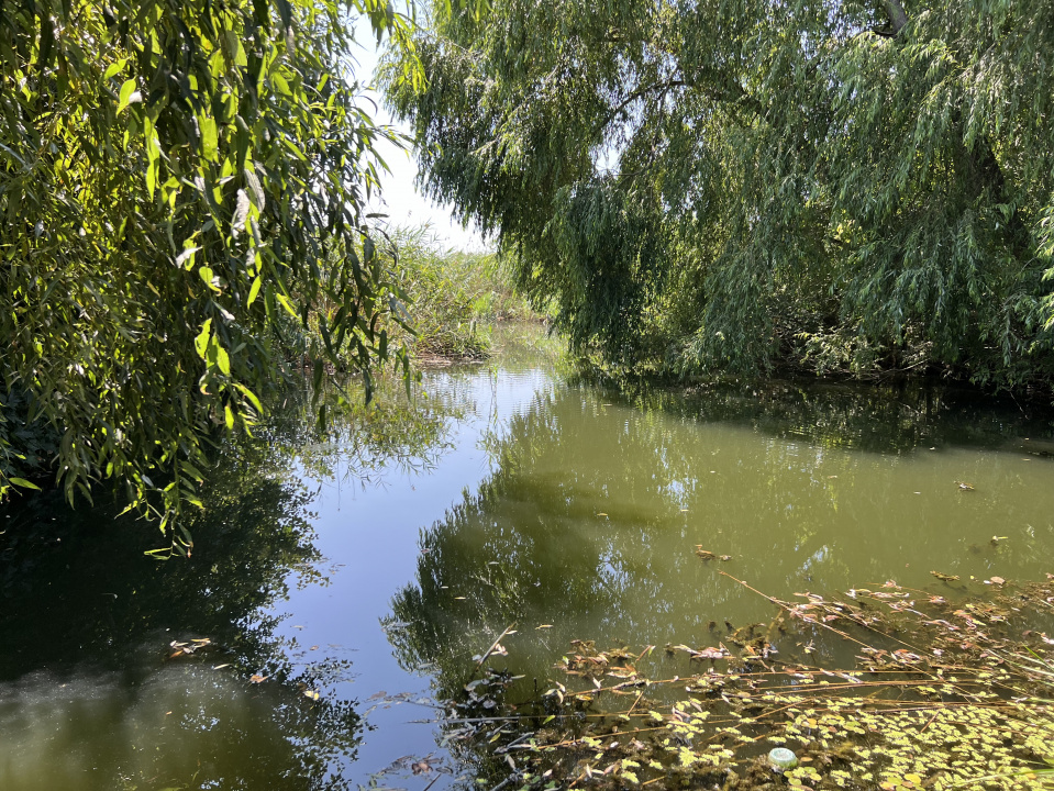 Teren Manastirea Snagov. Deschidere lac. Front stradal 30 metri. 