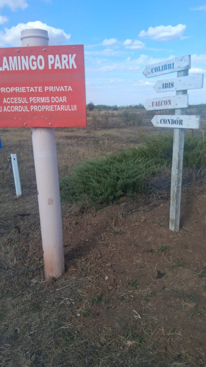 Balotesti - Saftica - Flamingo Park -476 mp