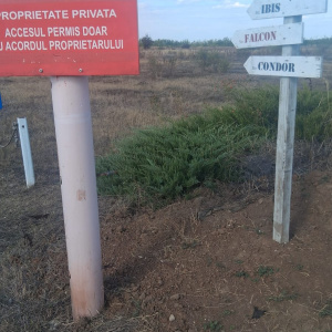 Balotesti - Saftica - Flamingo Park -476 mp