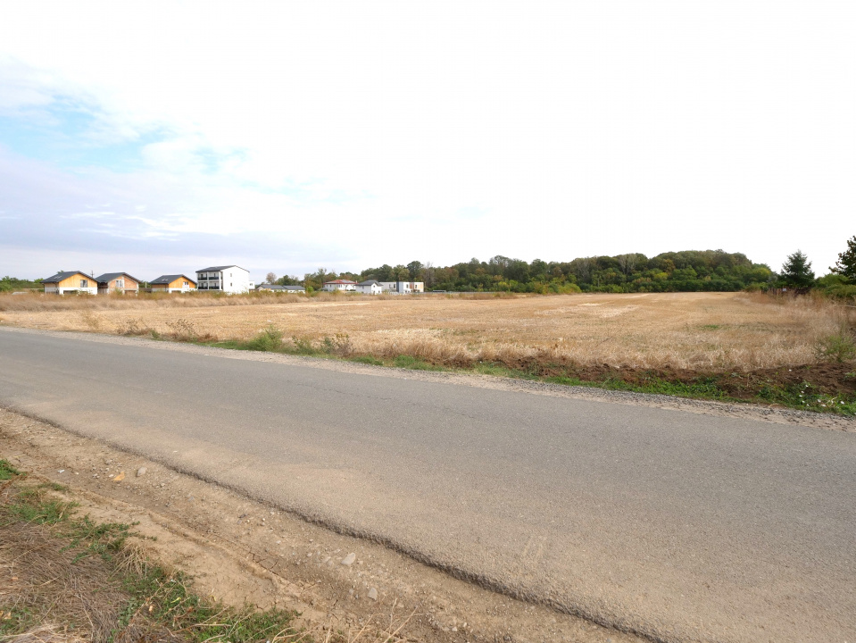 510mp-LOT PENTRU CASA - Otopeni, Ilfov - AUTORIZATIE CONSTRUIRE-89mp drum acces