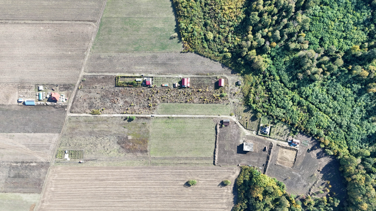 Refugiu la marginea padurii — 1000 mp de liniste in Cocani.
