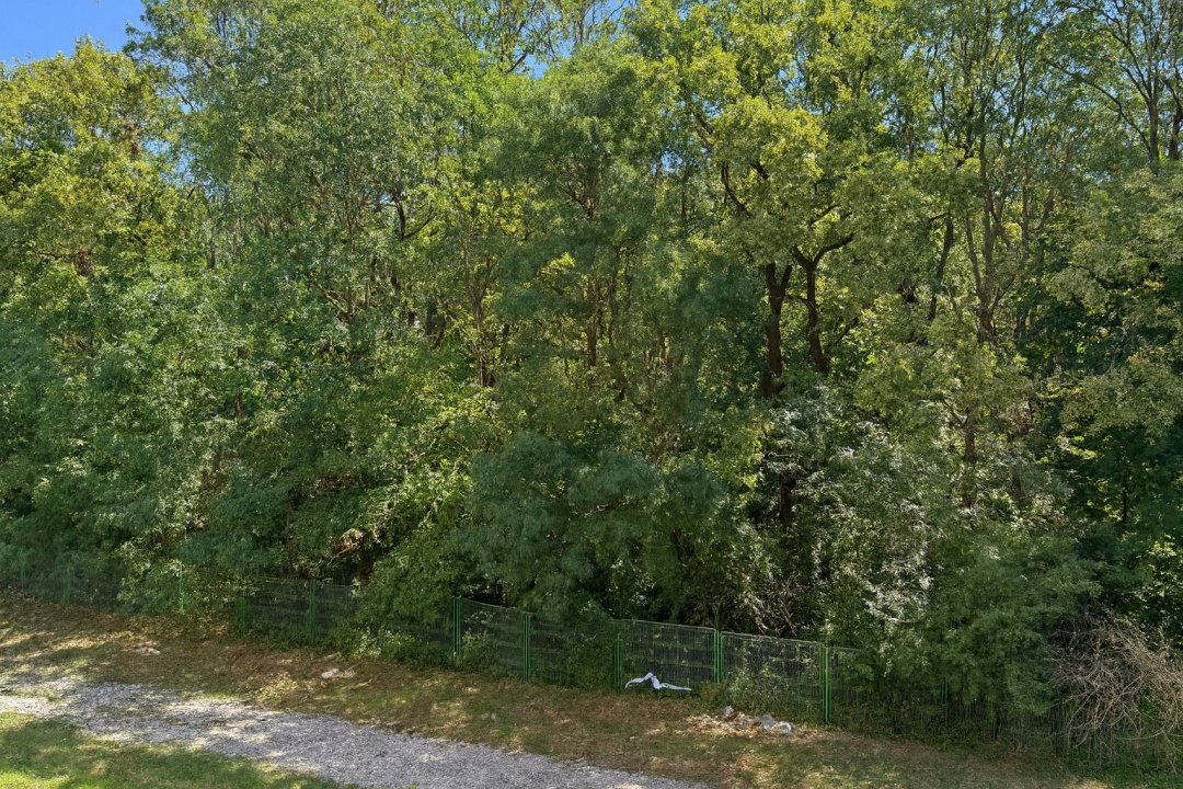 Apartament 3 camere de închiriat – Greenfield Residence, Băneasa – vedere către 