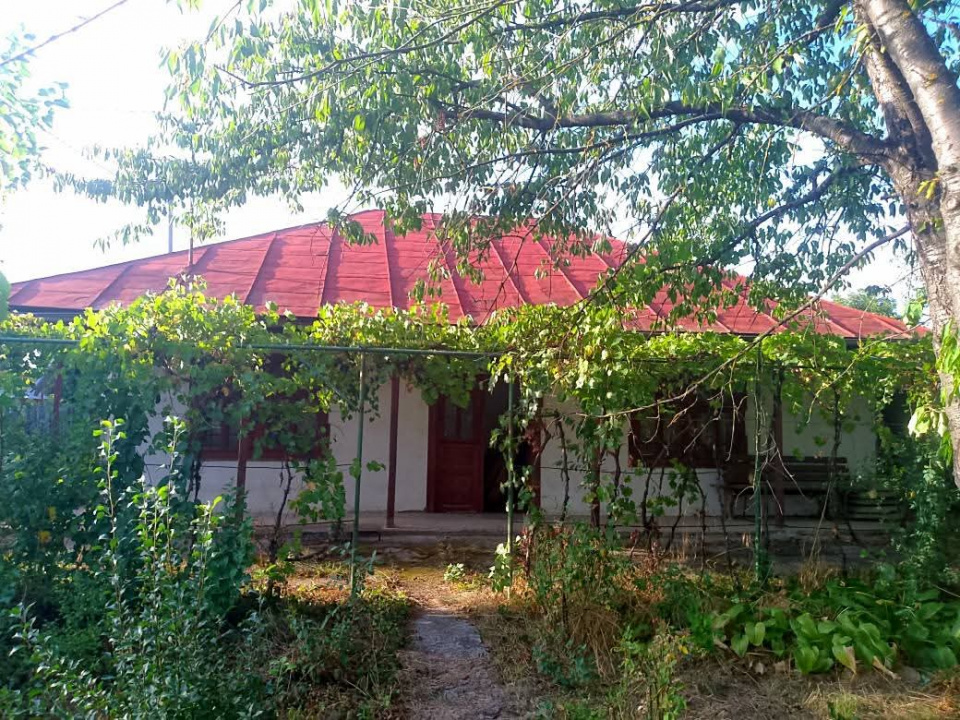 Exclusivitate_Lipia (Gruiu IF)- Casuta Bunicii