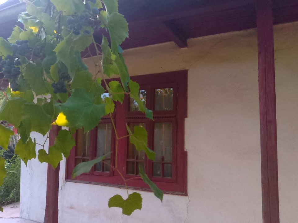 Exclusivitate_Lipia (Gruiu IF)- Casuta Bunicii