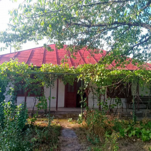 Exclusivitate_Lipia (Gruiu IF)- Casuta Bunicii