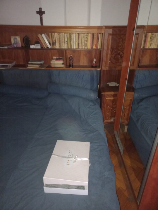  Apartament 2 camere cu vedere la Parcul Cișmigiu – Piața Kogălniceanu