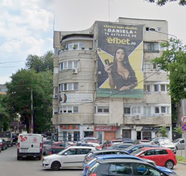 Vânzare  2 cam Pache Protopopescu