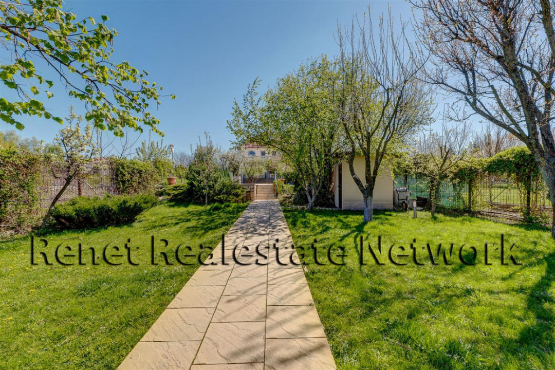 O Poveste de Vis pe Malul Lacului Snagov