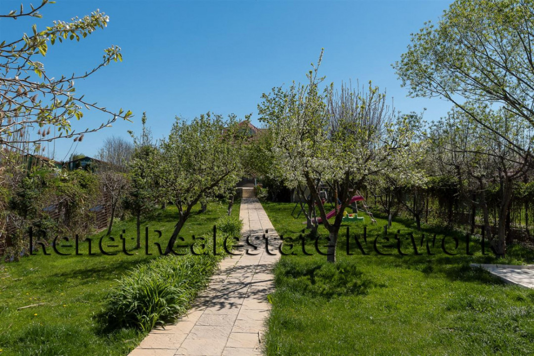 O Poveste de Vis pe Malul Lacului Snagov