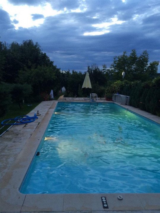 O Poveste de Vis pe Malul Lacului Snagov