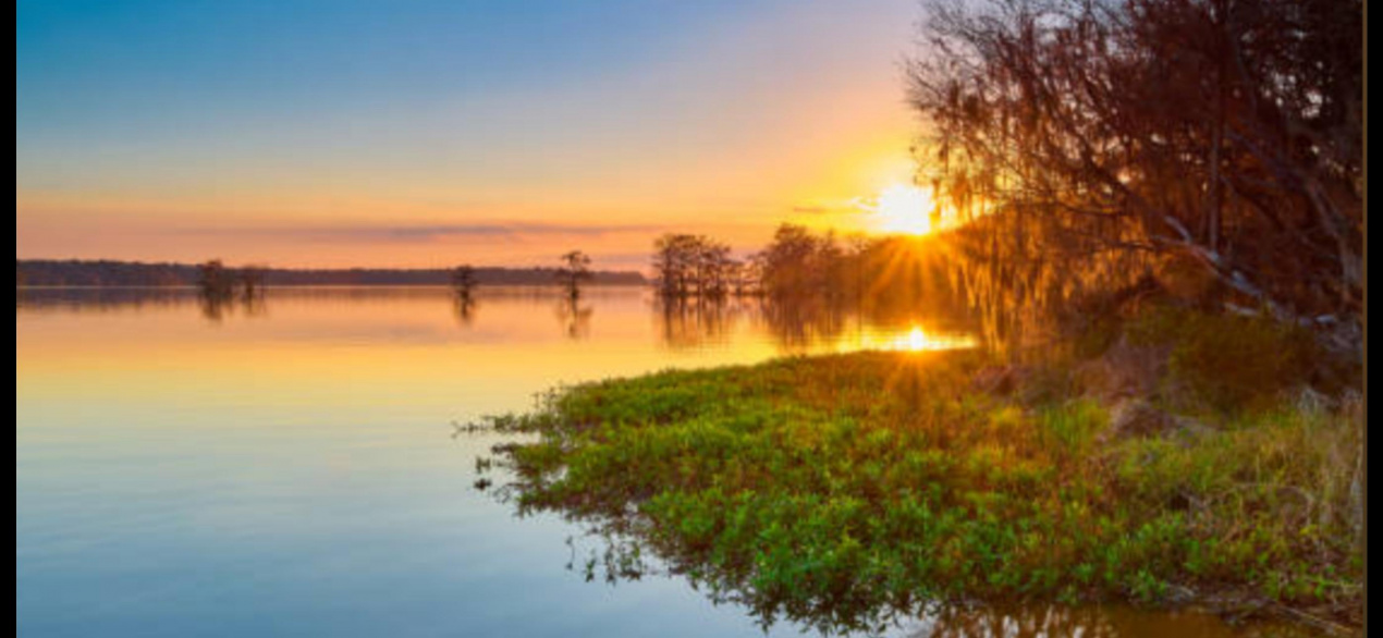 SISESTI teren5000mp iesire la LAC