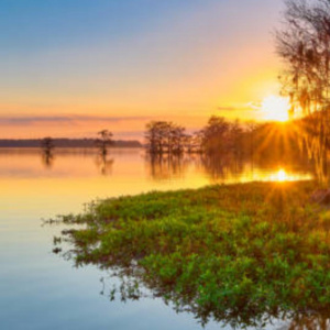 SISESTI teren5000mp iesire la LAC