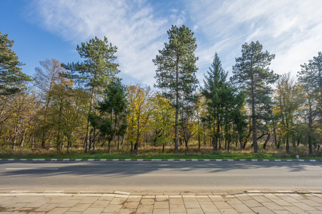 SNAGOV – CENTRAL, CASA 144 MP, LOT 1000 MP!