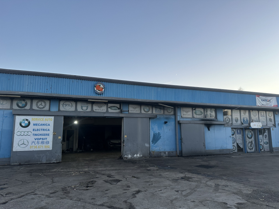 VOLUNTARI, HALA 250 MP!