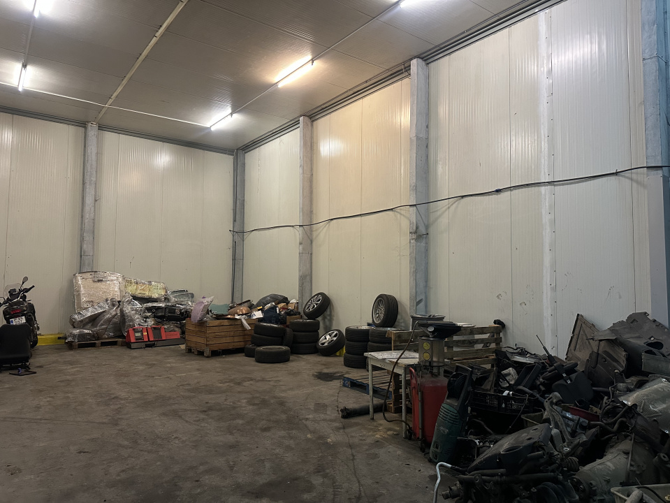 VOLUNTARI, HALA 250 MP!