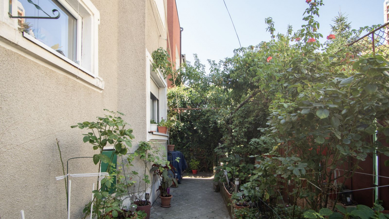 Casa individuala Dristor