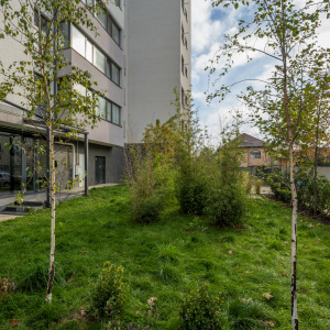 Prelungirea Ghencea, etaj 4/8, Imobil 2024, Comision 0 %