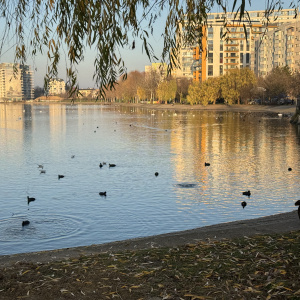 Apartament 3 Camere Aleea Sinaia - Doamna Ghica