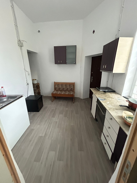 Apartament in vilă 3 camere cu design artistic unic, curte 40mp - Nerva Traian