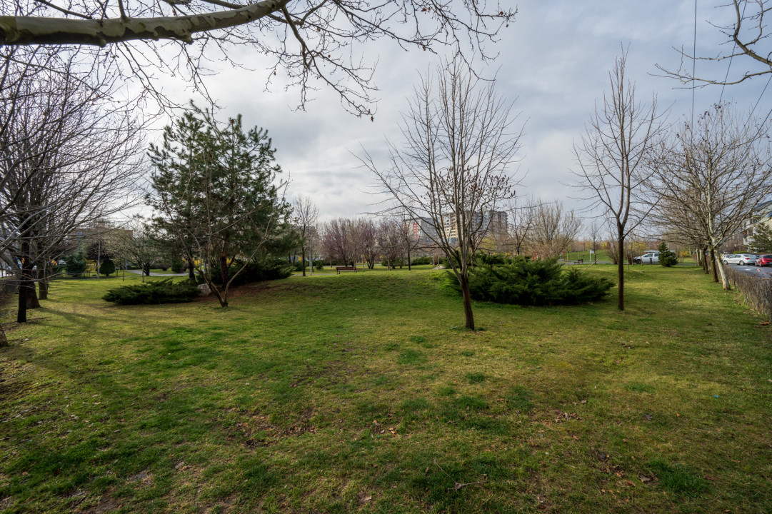 Drumul Taberei, Doftanei, Parc Brancusi, Centrala, Bloc 2009, Parter inalt 