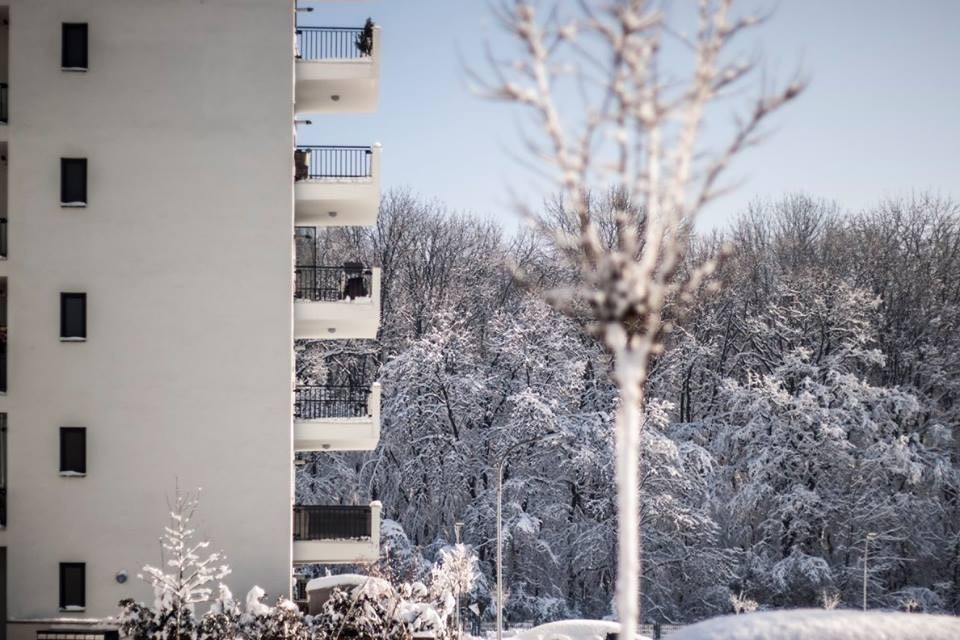 Apartament 3 camere de închiriat  – Greenfield Residence, Băneasa  