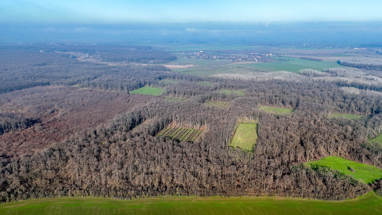 Teren langa Manastirea Sfantul Nicolae Sitaru