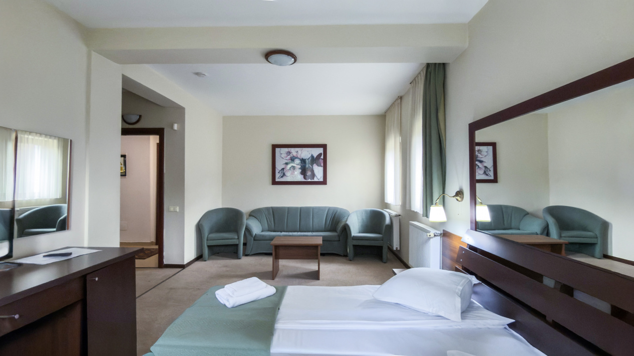 Pensiune de lux In Busteni