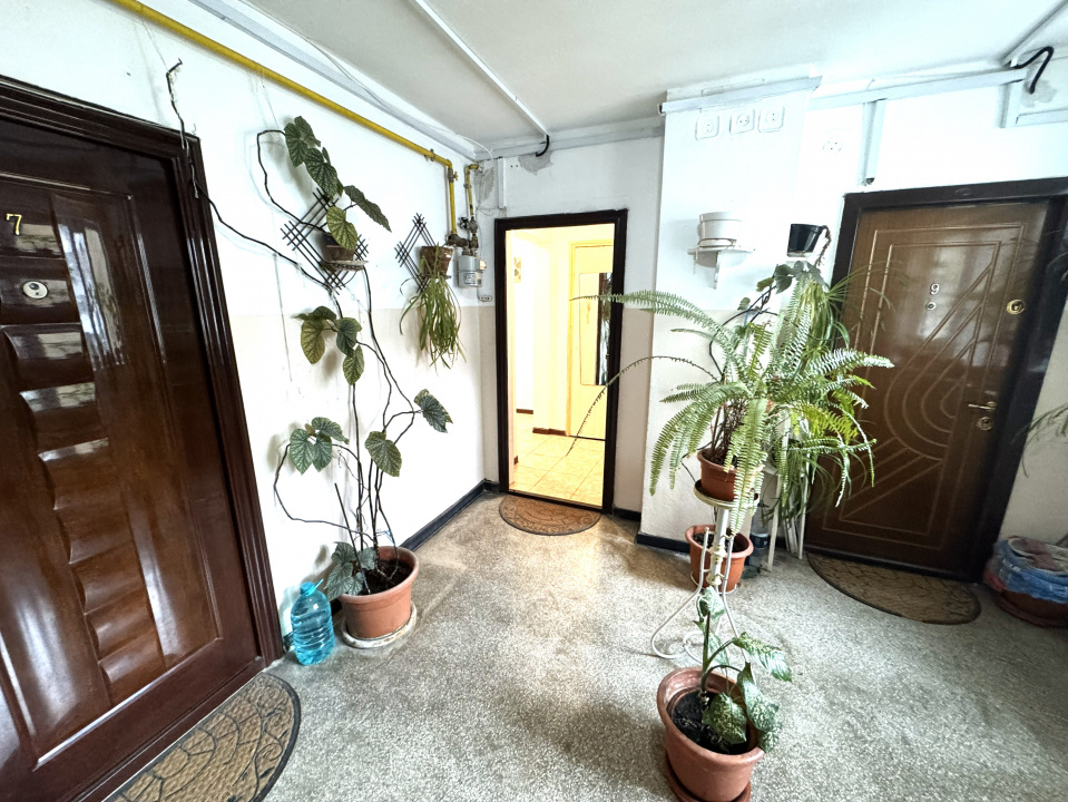 de inchiriat apartament 2 camere, Nord, Judetean, Cameliei