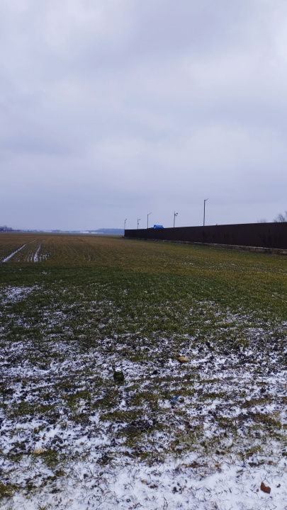 Teren intravilan mixt  de vânzare – Brănești, Ilfov Pret:110 EURO MP langa ASEVI