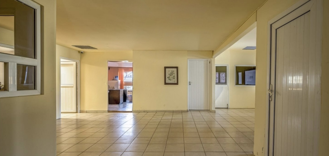 COMPLEX INDUSTRIAL DE VANZARE - PANTELIMON