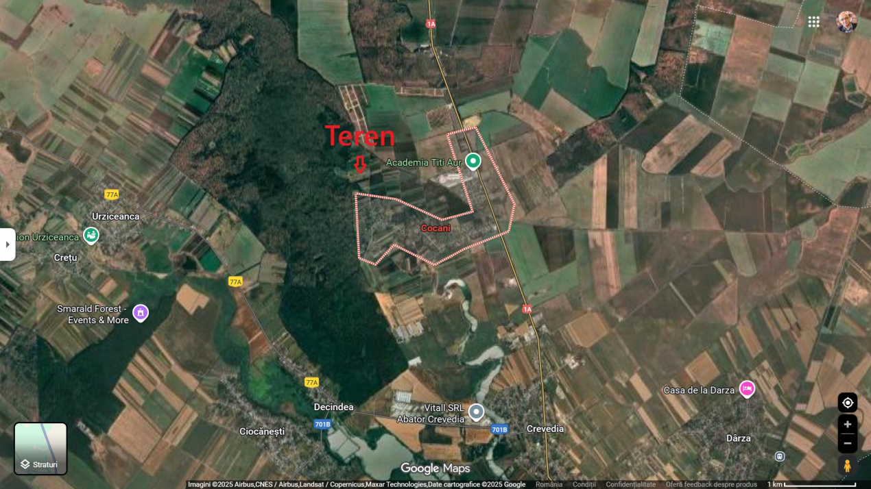 Refugiu la marginea padurii — 2822 mp de liniste in Cocani.