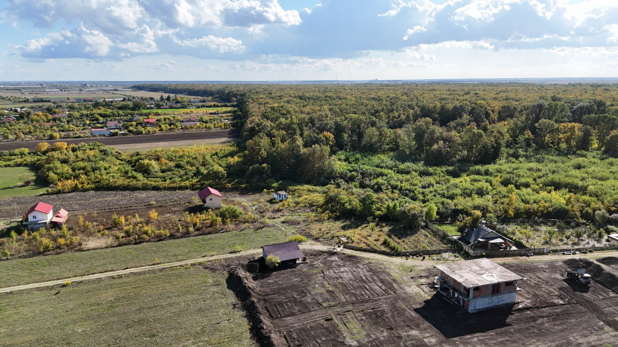 Refugiu la marginea padurii — 2822 mp de liniste in Cocani.
