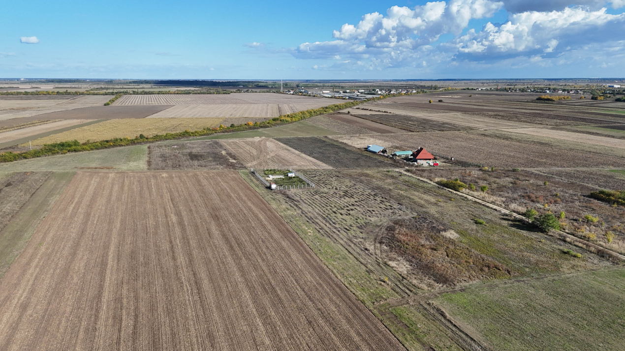 Refugiu la marginea padurii — 2822 mp de liniste in Cocani.