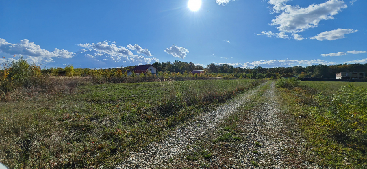 Refugiu la marginea padurii — 2822 mp de liniste in Cocani.
