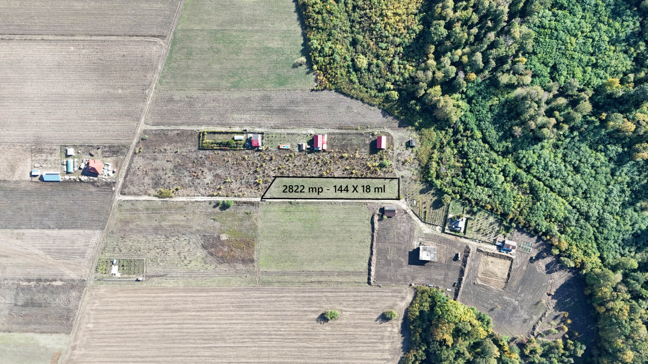 Refugiu la marginea padurii — 2822 mp de liniste in Cocani.