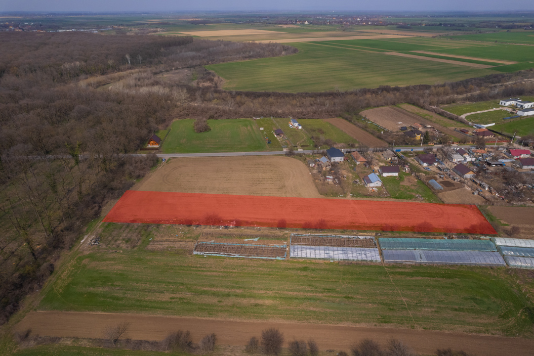 NUCI - BALTA NEAGRA, LOT 3900 MP, LA PADURE!