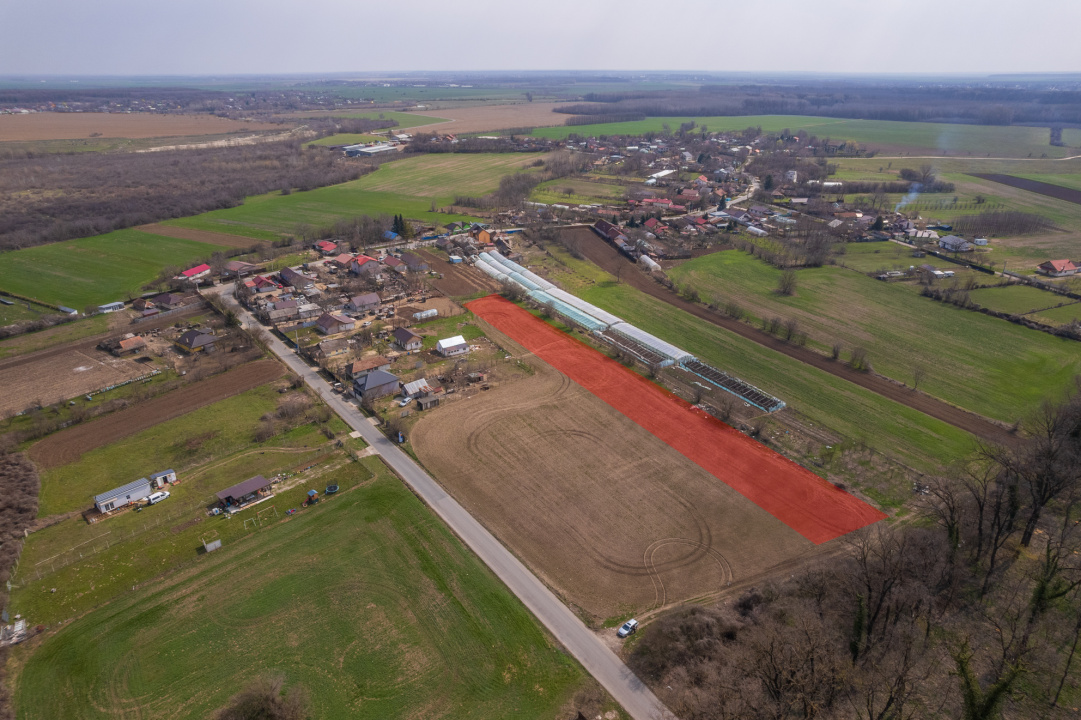 NUCI - BALTA NEAGRA, LOT 3900 MP, LA PADURE!