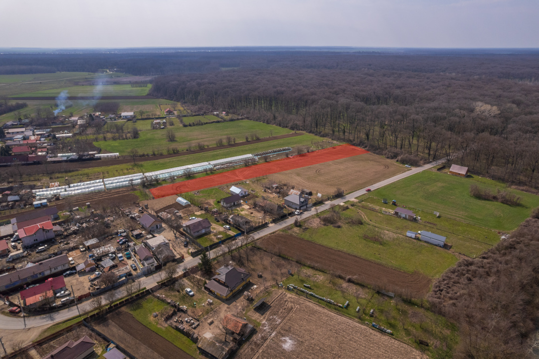 NUCI - BALTA NEAGRA, LOT 3900 MP, LA PADURE!