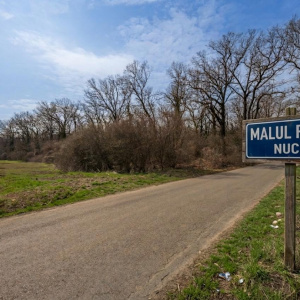 NUCI - BALTA NEAGRA, LOT 3900 MP, LA PADURE!