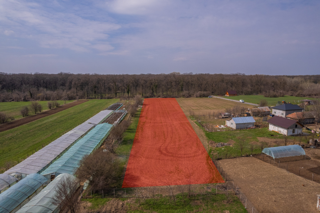 NUCI - BALTA NEAGRA, LOT 3080 MP, LA PADURE!