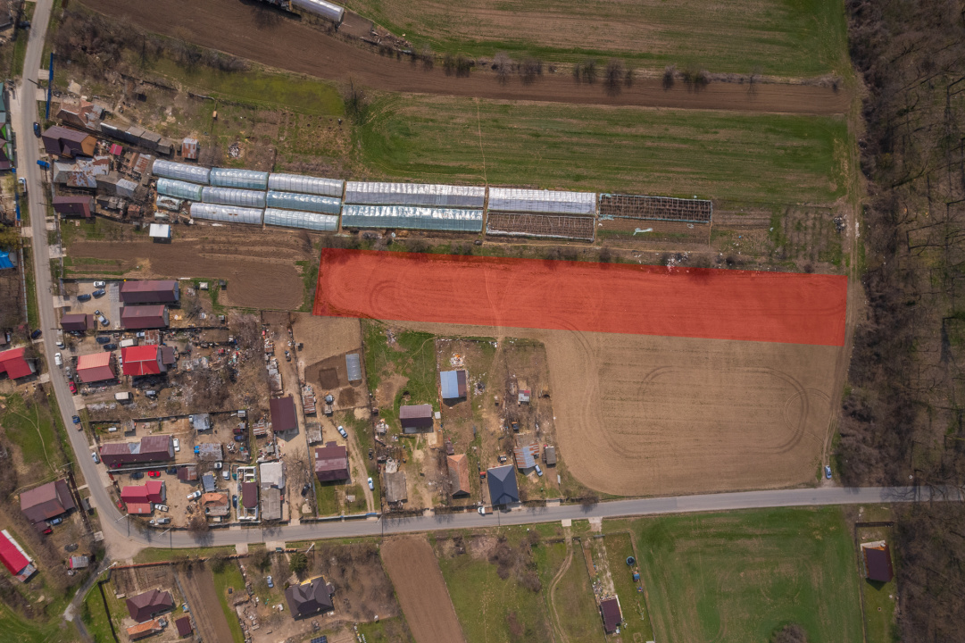 NUCI - BALTA NEAGRA, LOT 3080 MP, LA PADURE!