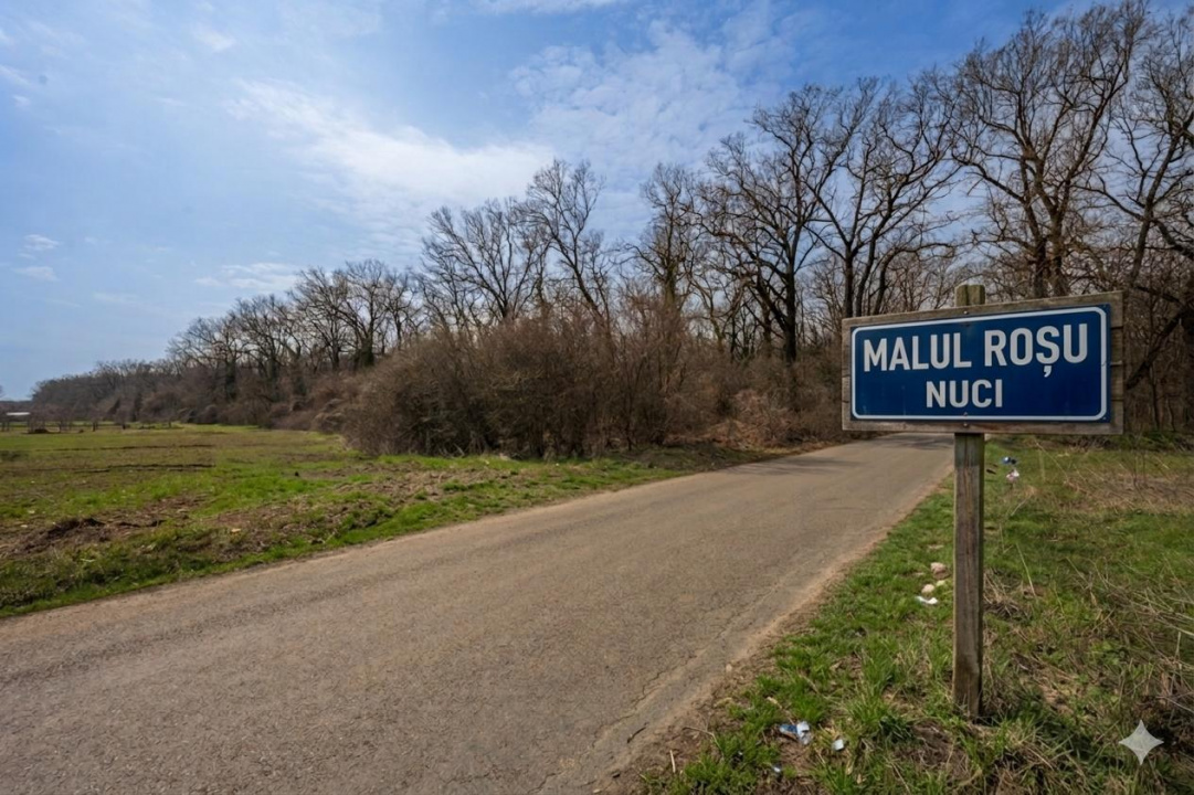 NUCI - BALTA NEAGRA, LOT 3080 MP, LA PADURE!