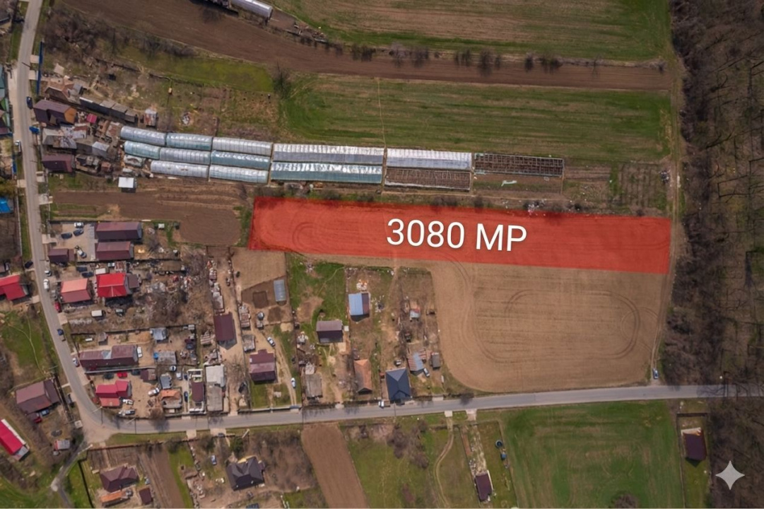 NUCI - BALTA NEAGRA, LOT 3080 MP, LA PADURE!