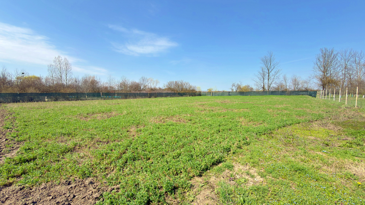 Imobil Com. Tătărăștii de Sus, Jud. Teleorman, comision 0% cumparator