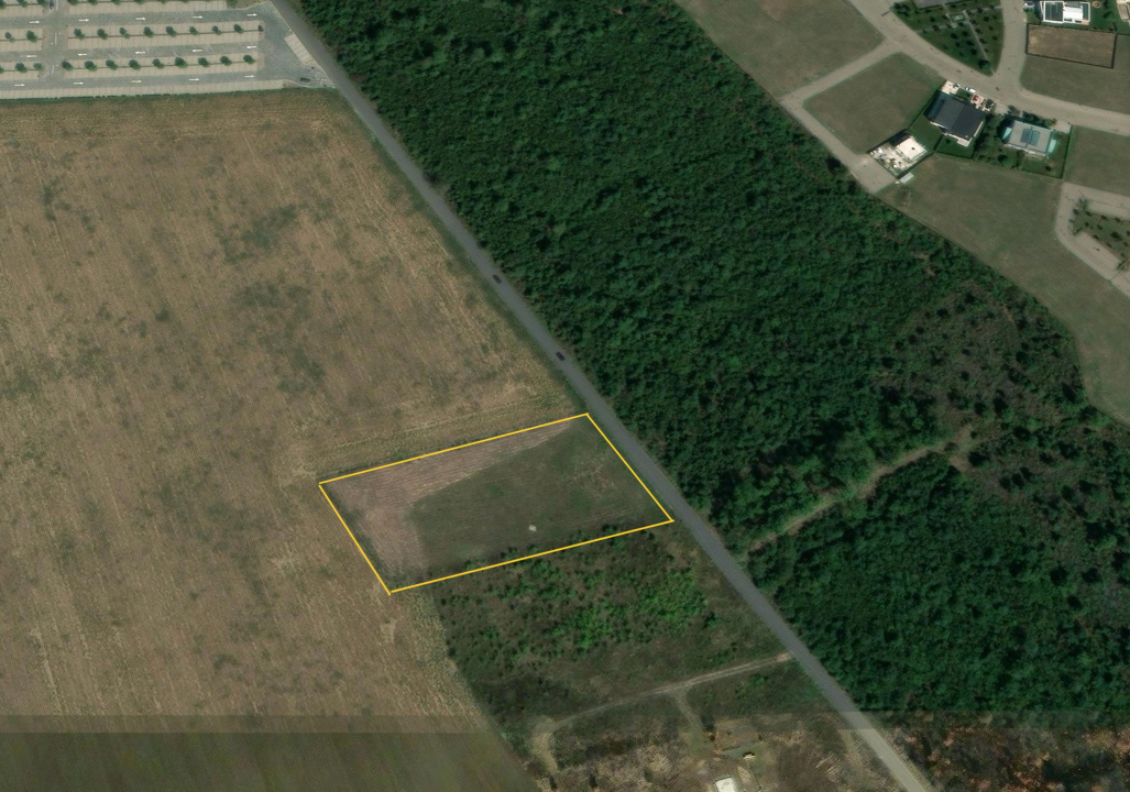 BALOTESTI - EDENLAND -  ideal investitie - Teren 5.254 mp, lângă pădure