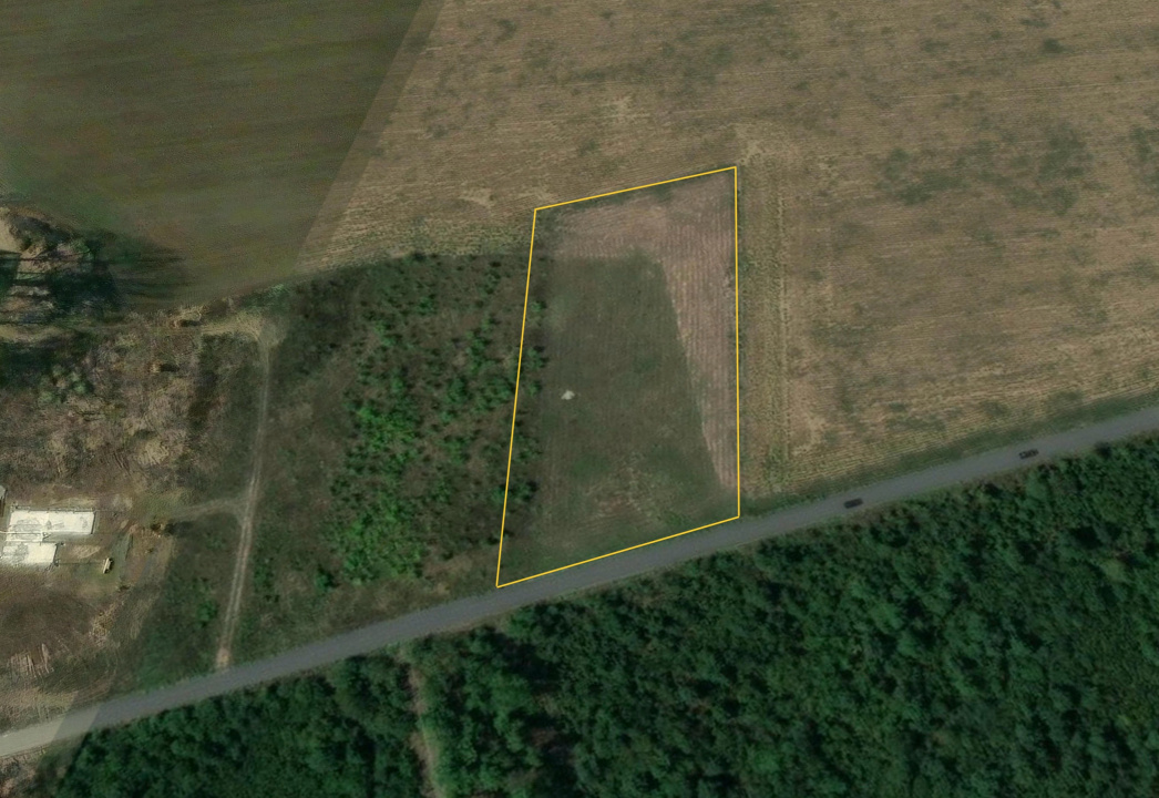 BALOTESTI - EDENLAND -  ideal investitie - Teren 5.254 mp, lângă pădure