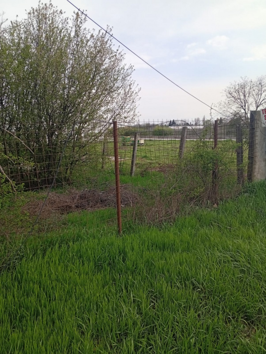 Teren intravilan mixt Buftea – spre Corbeanca | 1.250 mp | Ideal investiție