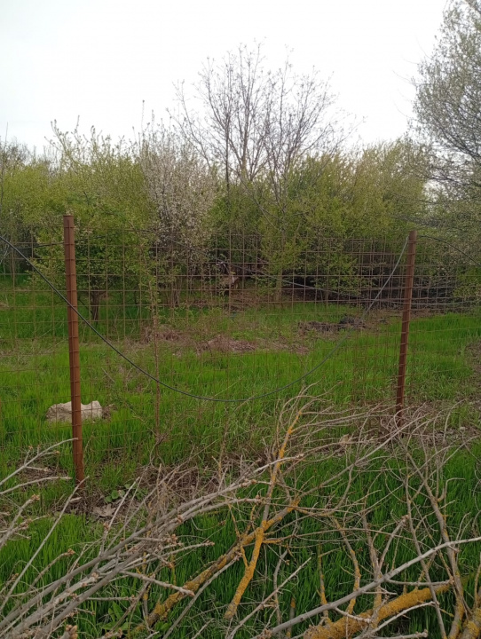 Teren intravilan mixt Buftea – spre Corbeanca | 1.250 mp | Ideal investiție