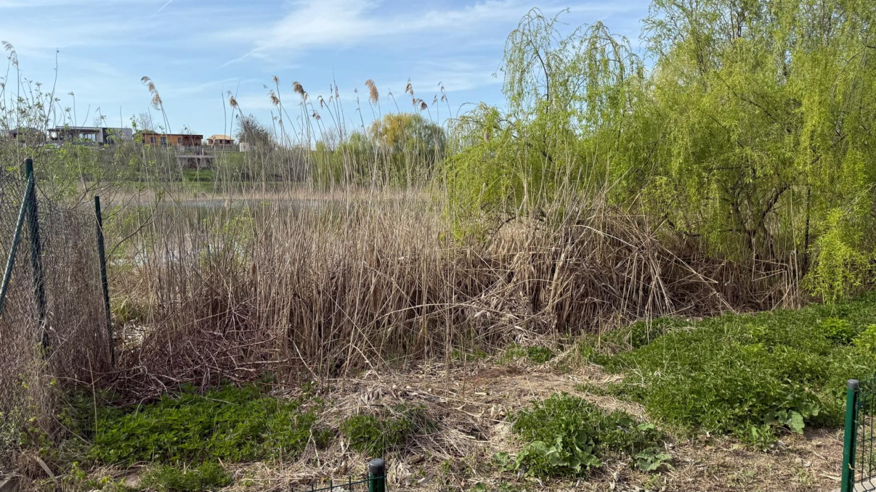 Ideal Teren intravilan Buftea – deschidere directă la lac | 883 mp | Utilități |