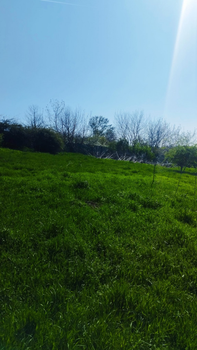 Teren intravilan de vânzare – Grădiștea, Ilfov, Aleea Primăriei